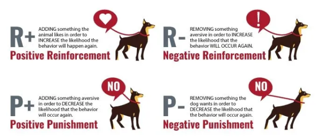 four quadrants of operant conditioning