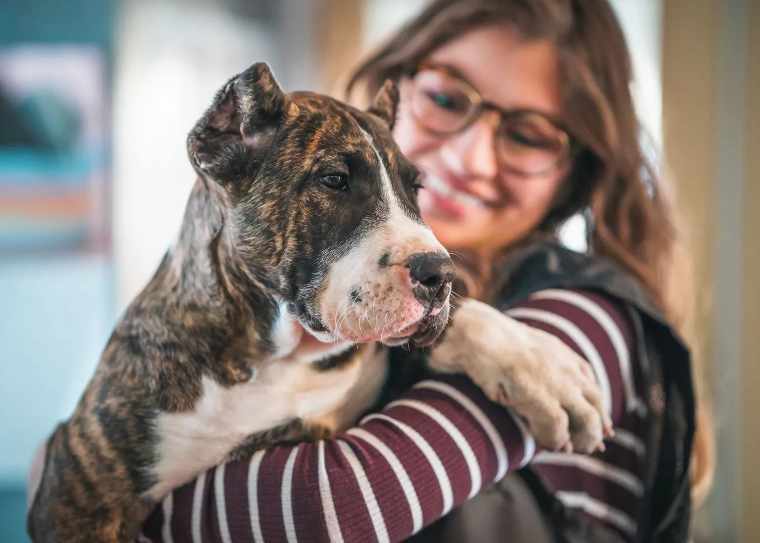 Dog Boarding Facility in Commerce City, CO