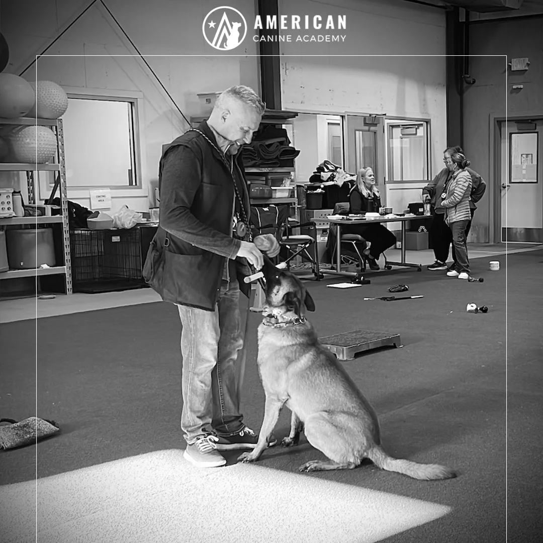 Celebrating The Journey