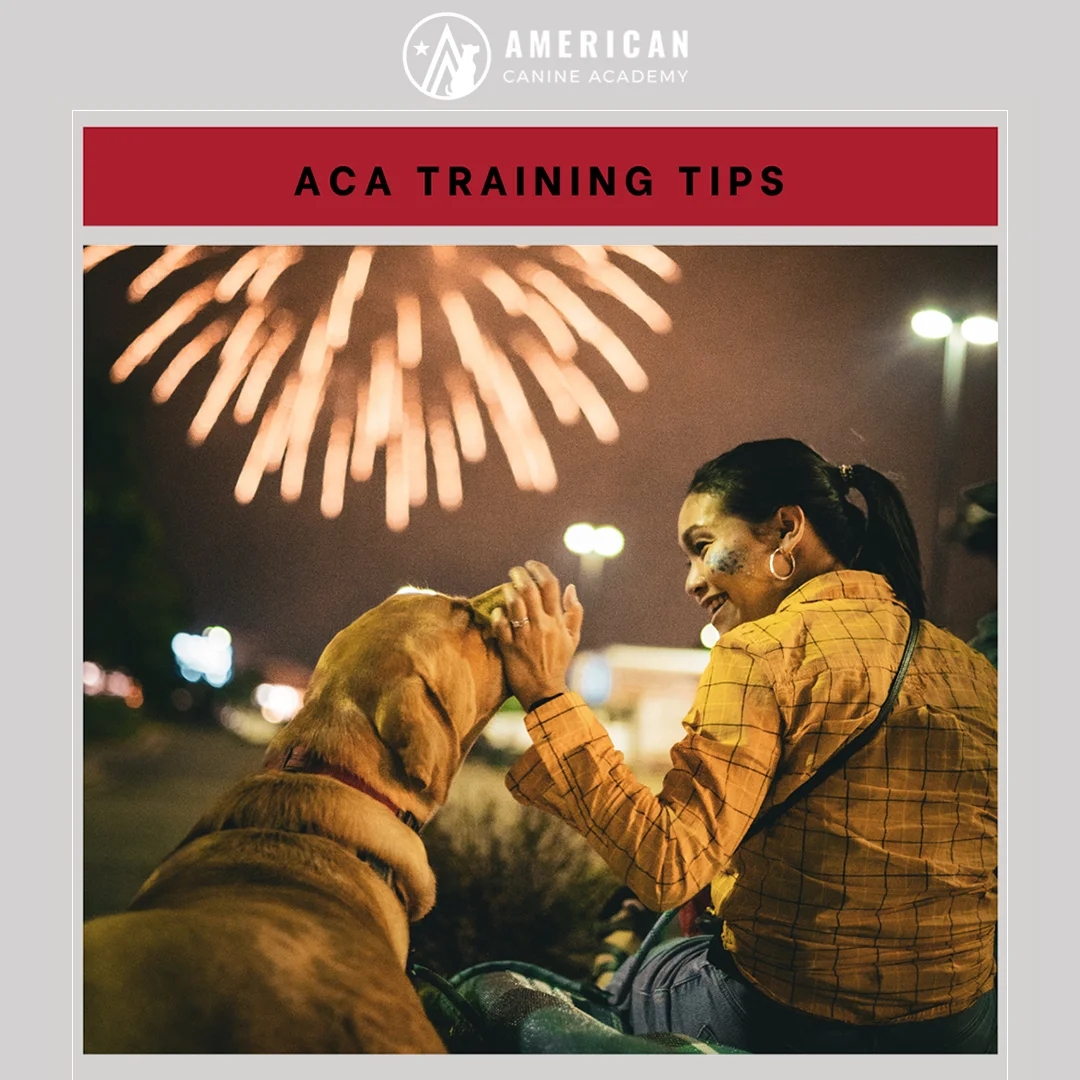 6 Tips to Keep Dogs Calm During Fireworks this 4th of July